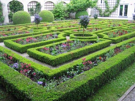 Roma Service Group - Giardino