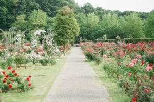 progettista di giardini