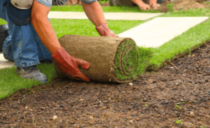 rotoli era giardino