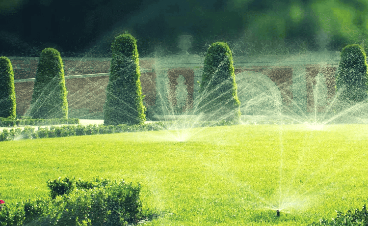 Roma Service Group - Irrigazione