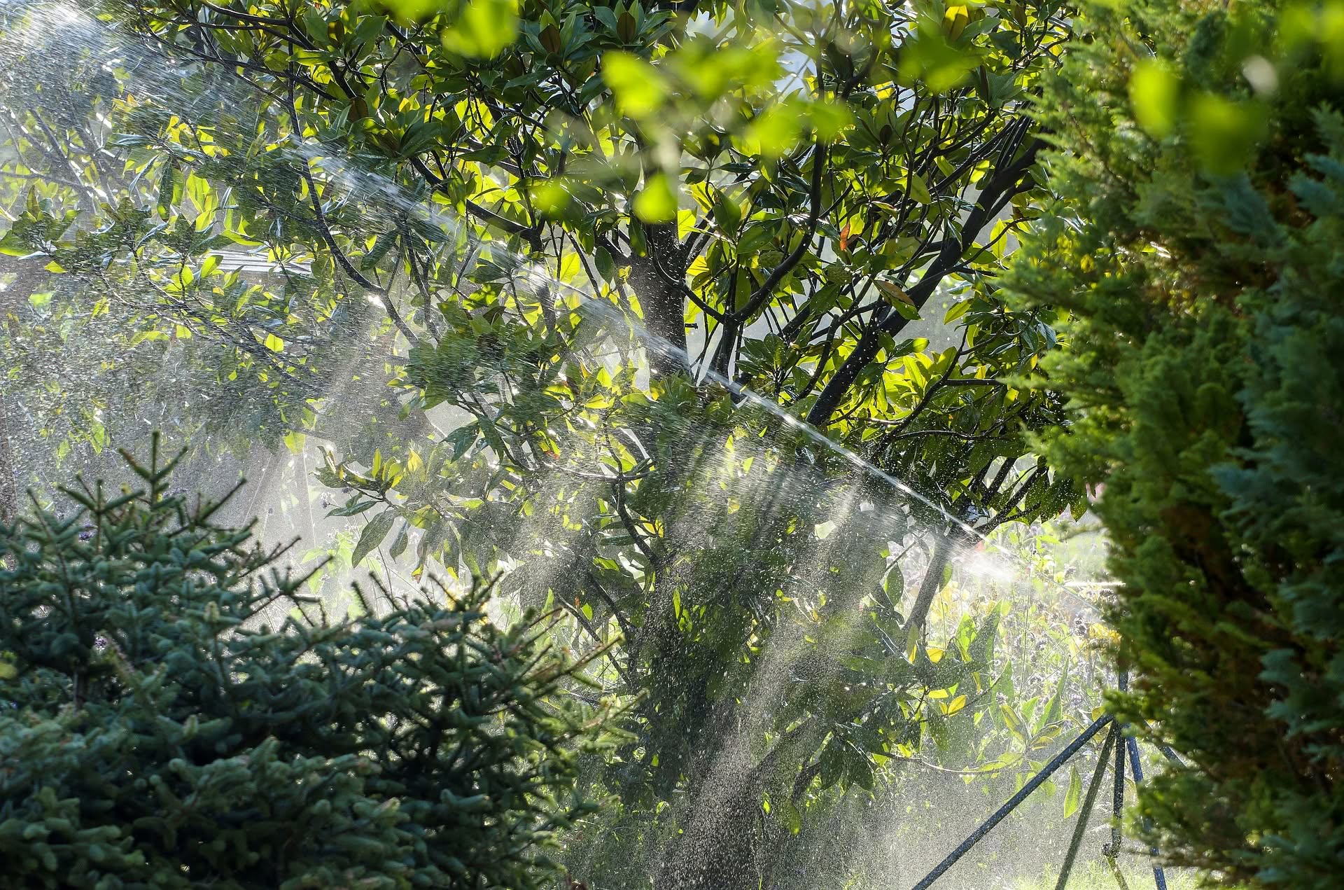 irrigazione giardino fuori terra