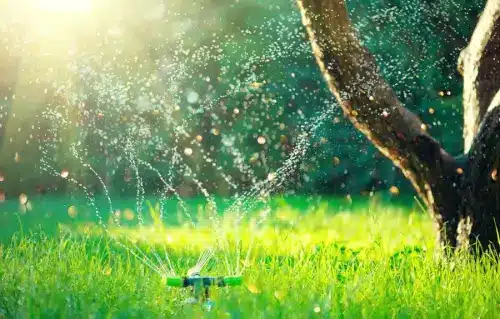 Immagine di un impianto di irrigazione con tubi e vasi di irrigazione in un campo agricolo.
