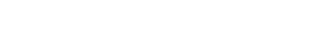 Roma service group logo(bianco)